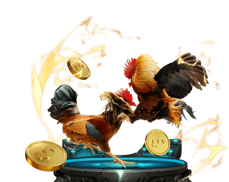 Mẹo và chiến thuật đá gà Thomo 999